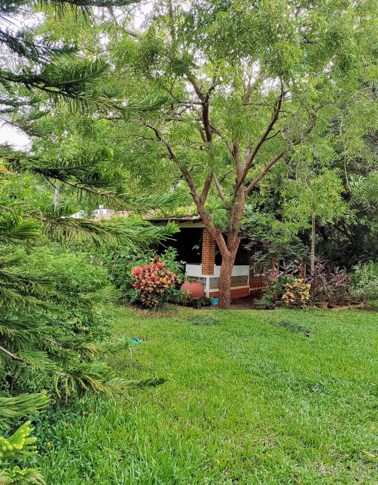 פונדיצ'רי Inn Pondiville Forest Retreat מראה חיצוני תמונה