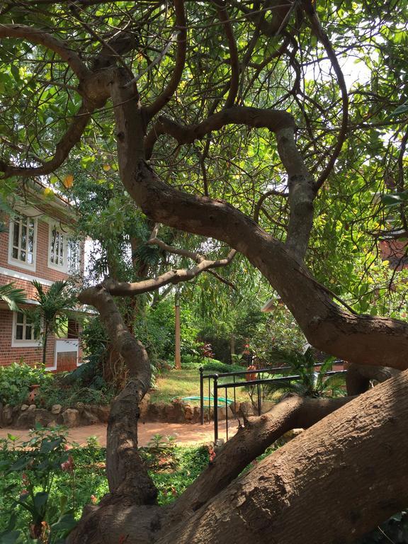 פונדיצ'רי Inn Pondiville Forest Retreat מראה חיצוני תמונה
