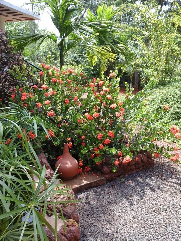 פונדיצ'רי Inn Pondiville Forest Retreat מראה חיצוני תמונה